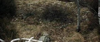 Kommunen glömde söka schaktlov för gradäng