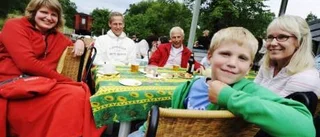 Proffsmusiker spelade i Fårhult