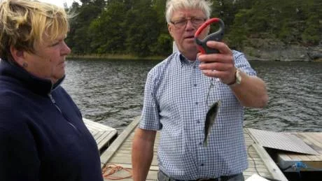 Gunilla och Magnus Wasteson väger en abboorre. Den har ökat från sju till 56 gram på en säsong.