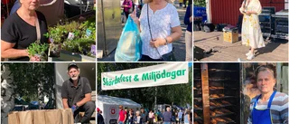 Skördefest lockade:" Min regnbåge är känd sedan tjugo år"