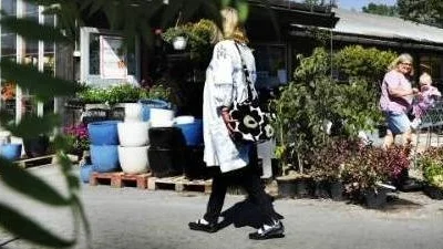 Strejkvarsel på Mariebergs Trädgård AB i Västervik. Varslet la Kommunal på torsdagen och om inget avtal nås träder konflikten i kraft den 12 juli klockan 00.00.
Foto: Karin Hertz
