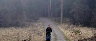 Öppenhet i skolfrågan inför valet
