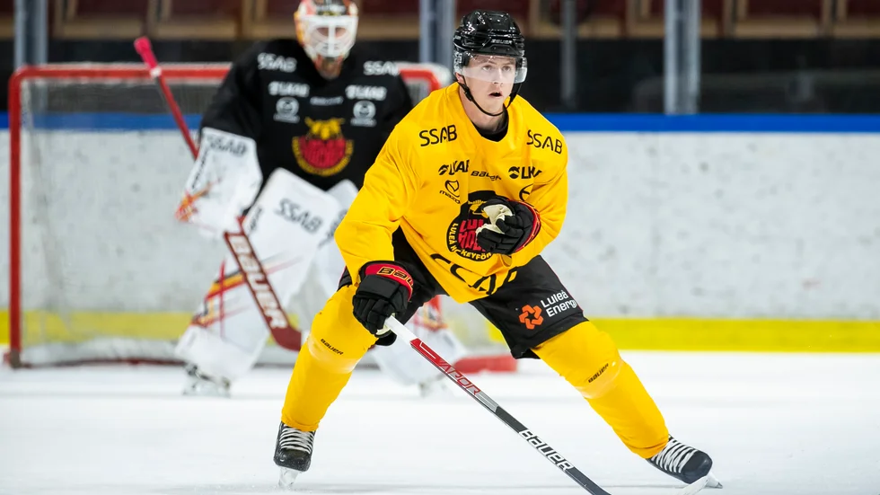 "Jag tycker han har tagit sig an den här säsongen på ett bra sätt och fokuserat på rätt saker. Det är vanligt att spelare som känner att det inte har gått så bra, och vill bevisa sig, börjar göra det svårt för sig själv. Men han krånglar inte till det", säger Henrik Stridh.
