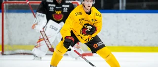 Sellgren har utmärkt sig i Luleå Hockey: "Har ännu mer i sig"