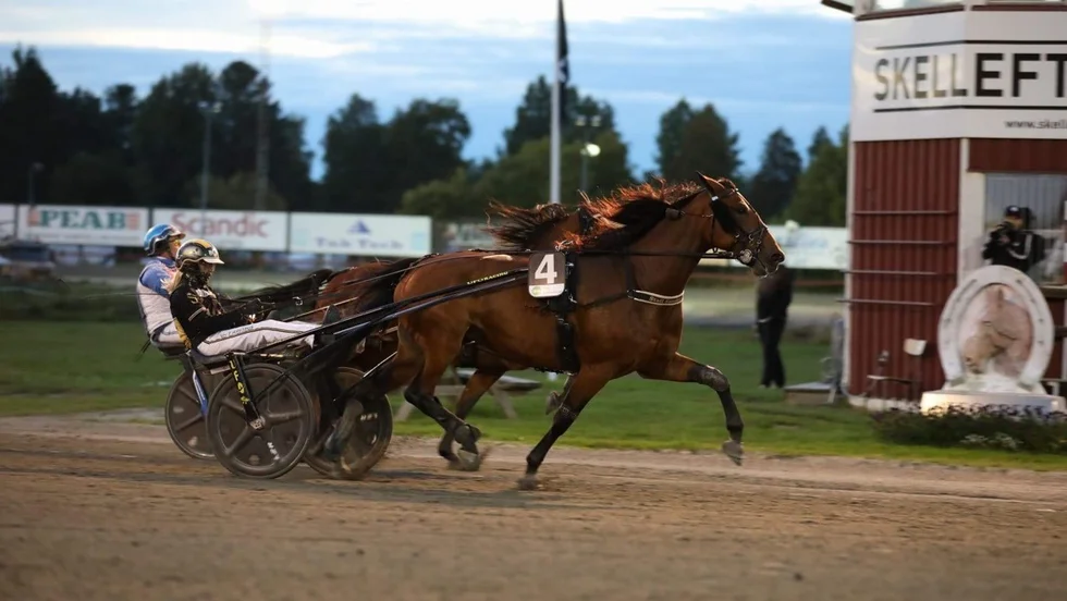 Keira De Veluwe (Sandra Eriksson) reglerade motståndet i V5-5. Selmer Boshoeves (John Östman) invändiga försök avvisades bestämt.