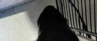 "Man måste våga prata om aborter"