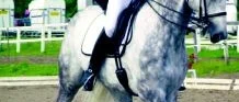 Lokala ryttare bra i dressyr