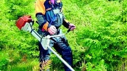 Fullt utrustad. Jan Ingesson har ett företag som utför röjning och plantering. I bakgrunden syns ett cirka åtta år gammalt granbestånd som nyss har röjts.