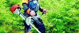 Skogsdag  
i Odensvi