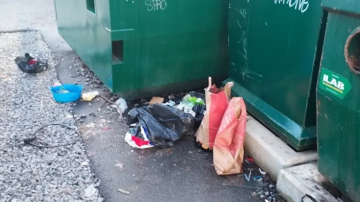 Återvinningsstationen har blivit en sanitär olägenhet, skriver Magnus Andersson.