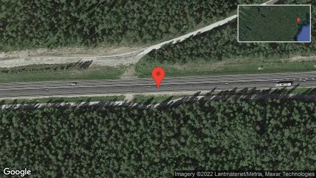 Renar på vägen på E4