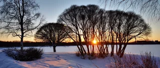 Läsarbilden: Sol – den första dagen på det nya året