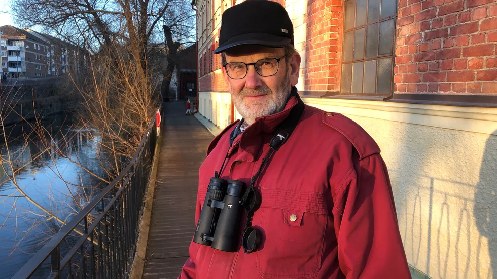 Mats Andersson fågelspanar vid Nyköpingsån nästan dagligen.