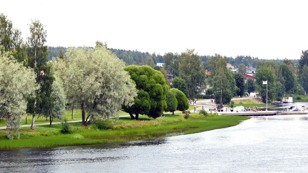 Bolaget ville hyra plats på gräsmattorna norr om strandpromenaden. 