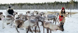 Samebyn välkomnar hjälpen från aktivisterna
