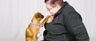 Hundtränarens budskap: Glädjen är viktigast