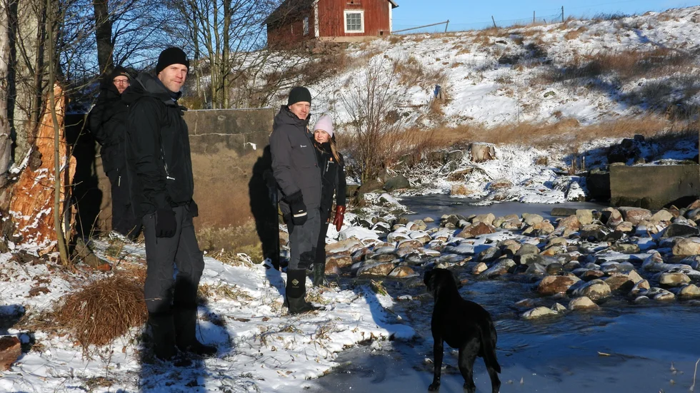 Här vi Bjursby kvarn vid Sviestadån har den hotade aspen nu fått fri väg att vandra. Mathias Ibbe, Erik Årnefelt, Mattias Larsson och Linnea Carlzon är nöjda med resultatet.