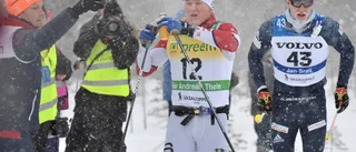 Politikens Vasalopp