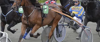 Kör V75-lopp i Norge