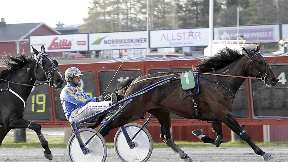 New York Broline vann V65-lopp på Bodentravet under lörsdagskvällen.