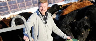 Unga entreprenörer gör miljonsatsning 