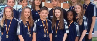 Medaljregn på EM över ungt och oprövat lag