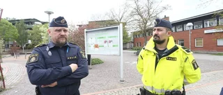 "Skicka dem till Norrland och hugg skog"