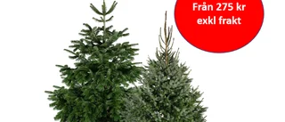 Din julgran direkt till dörren!