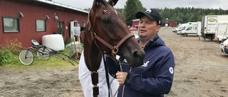 Rally Esset har lämplig uppgift