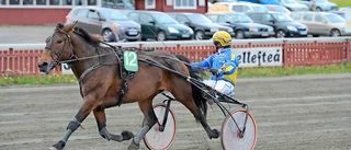 Efter 98 starter – vinstrik Skelleftehäst har tävlat klart