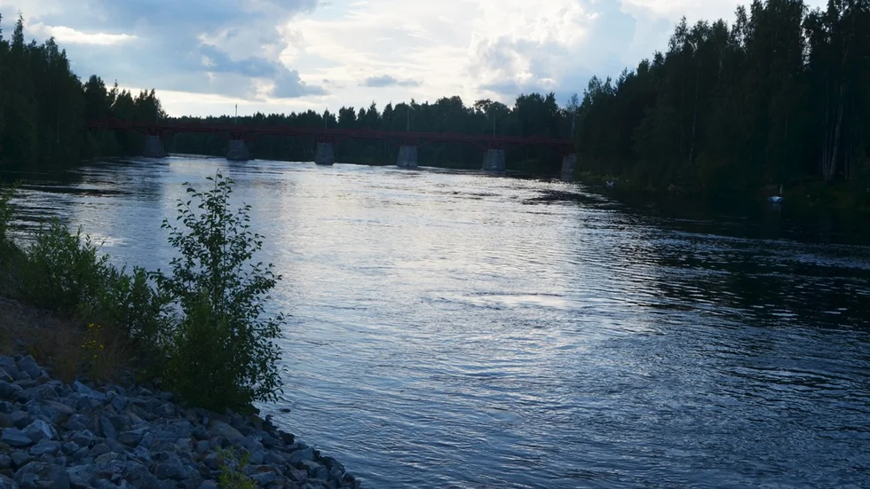 Skribenten funderar över hur man ska få Skellefteälven att leva igen.