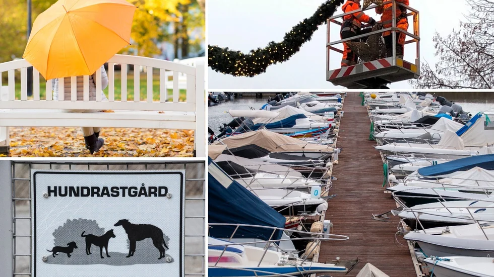 Alliansen vill satsa på trivsel. Bland önskemålen finns parkbänkar, en hundrasgård, julbelysning och båtplatser.
