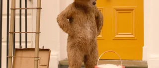 Norrans recensent har en plats i sitt hjärta för Paddington