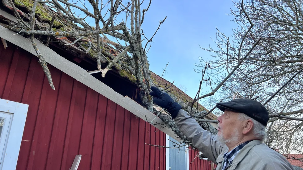 "Tegelpannor var spräckta, reglar var spruckna och andra delar hade gått sönder" säger Arne Bergqvist.