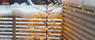 Stölder upprör boende på Porsön i Luleå