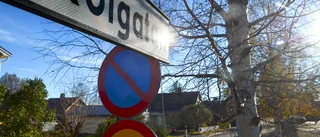 29-åringen åtalas för en rad brott