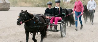 ”Jag tänkte att ridhus bara fanns i fantasin”