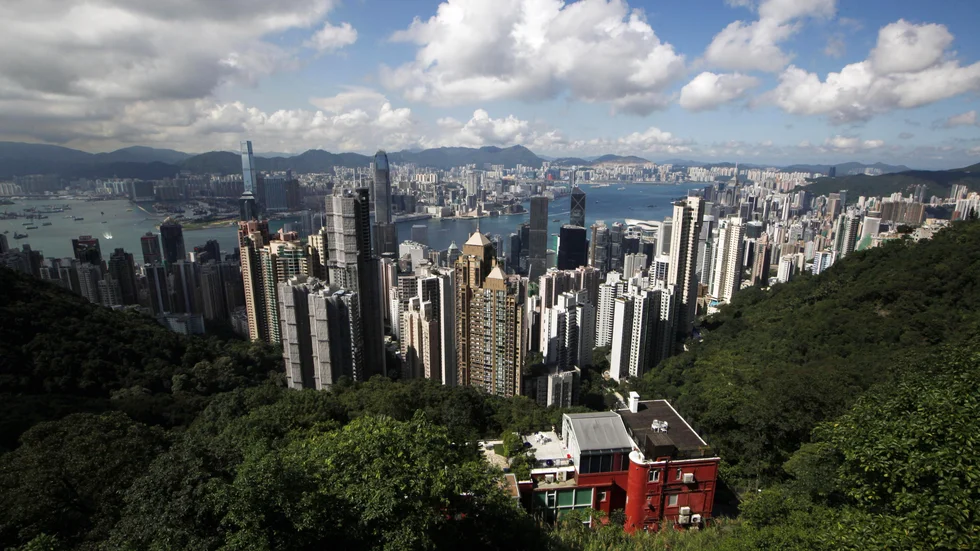 Hamstrar som hålls i Hongkong ska avlivas. Arkivbild.