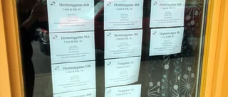 Vad håller Stiftelsen Arjeplogshus på med?