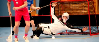 Makalösa målvakter i Enahallen