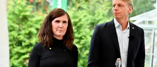 Miljöpartiet borde jubla, vi lever ju i deras dröm
