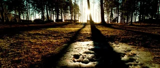 Våren på ingång – sol i helgen