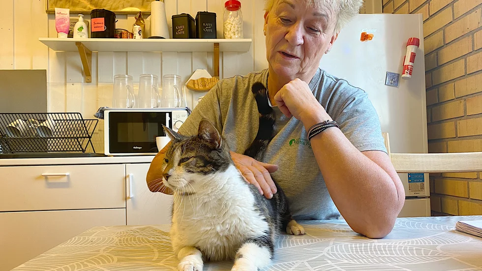 ”Omgivningen måste reagera snabbare och göra något när det dyker upp hemlösa katter, innan det går över styr. Går det att göra något åt katten ska man ge den en chans” säger Susanne Sjöström, föreståndare vid katthemmet Hitta katten, här med katten Astrid som snart flyttar till ett nytt hem.