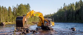 Satsar över 120 miljoner på att åtgärda sex älvar i Norr- och Västerbotten