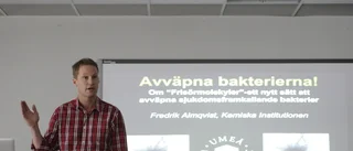 Professor från Skellefteå in i universitetsstyrelse