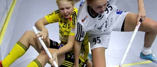 Hon kan bli Endres första nyförvärv till 2017-2018