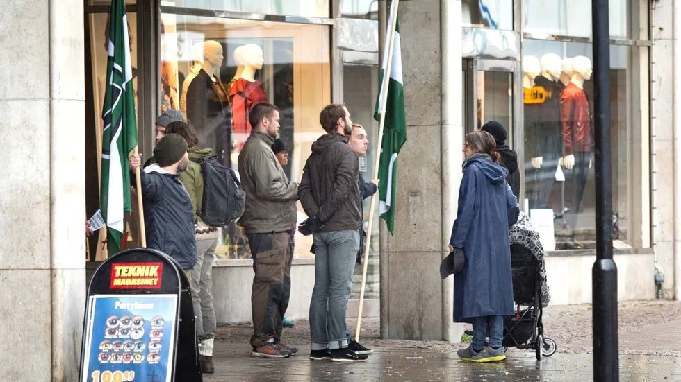 Revolutionära. Nordiska Motståndsrörelsen vill stoppa all invandring, införa ett statligt rasinstitut och upprätta en enad nordisk stat, allt enligt det egna partiprogrammet.