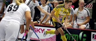Hellgren förlänger med Endre