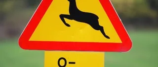 Skylt ska varna trafikanter