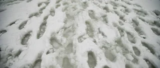 Förra helgens snöfall ett minne blott